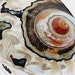May include: A close-up of a seashell with a swirling pattern of brown, white, and orange. The shell has a smooth, iridescent surface.