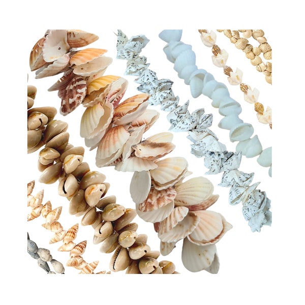 Natural Sea Shell Beads for Jewelry Making / Shell Crafts / Beach Shell Beads for  Summer Jewelry, Coastal Interiors, Macrame, Hair Crafts