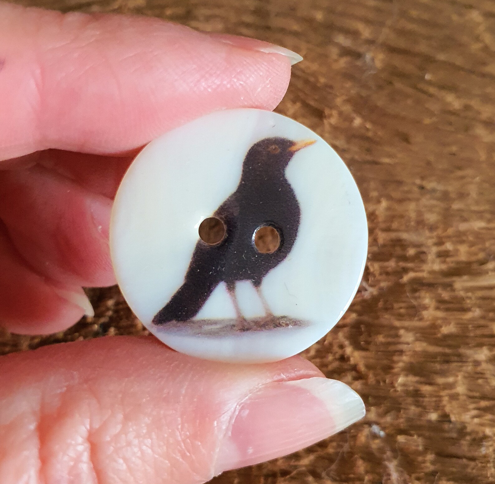 Bird Buttons 25mm Shell Button British Garden River - Etsy UK