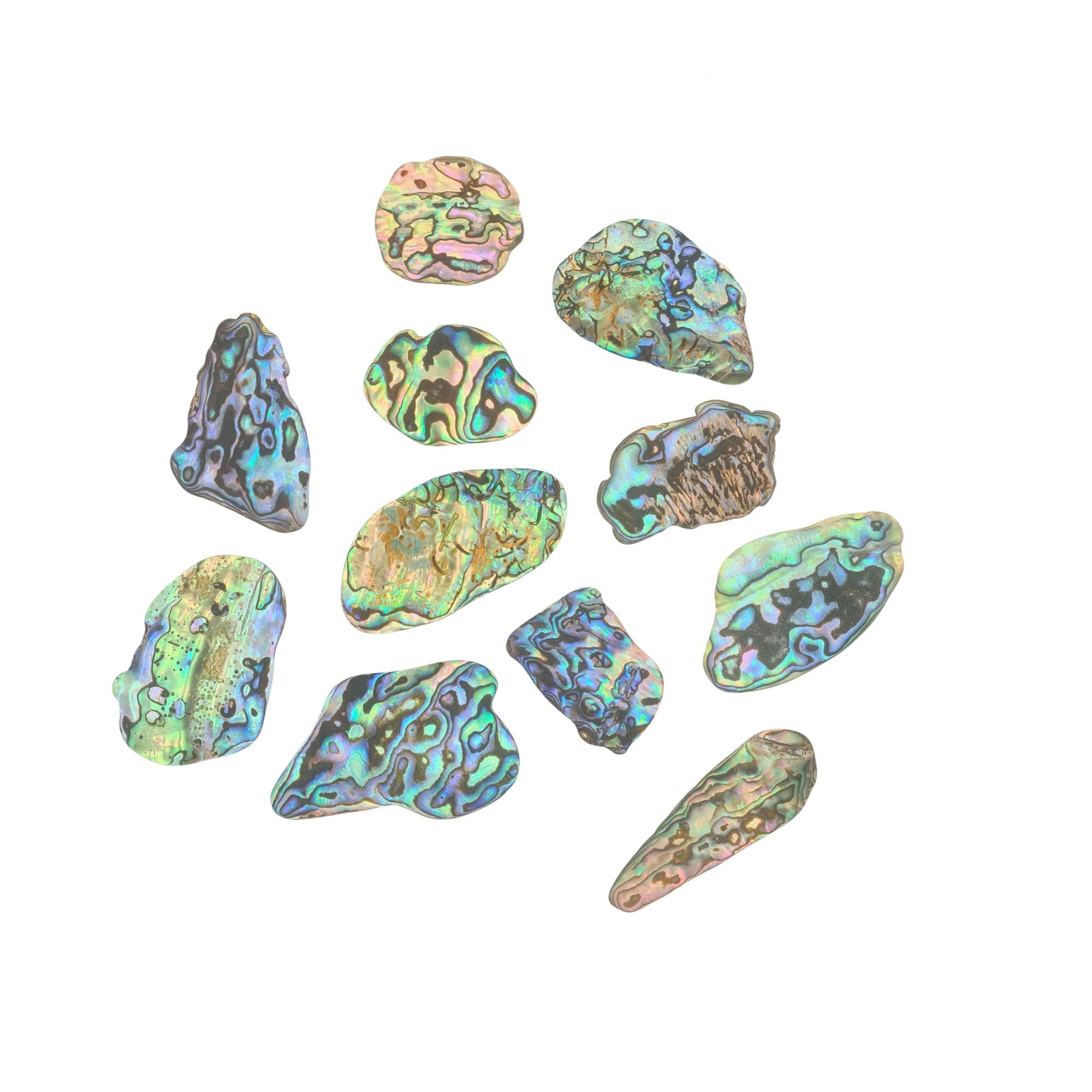 Abalone Paua NZ Shell Pieces 40g / Approx 20 Pcs of Irregular