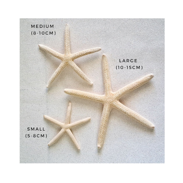 White Starfish  / Natural Sea Stars / Small, Medium or Large Pointer Starfish / Shell Decor / Seaside Nautical Display / Beach Wedding Decor