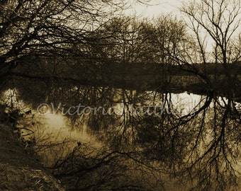 Trees reflecting on the stream sepia photography matted print 5x7