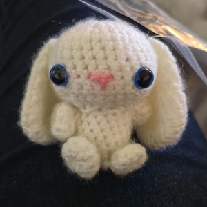Bun Bun (Bunny Stuffed Animal)