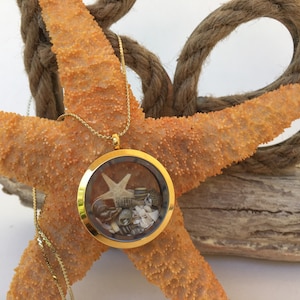 Op de afbeelding: Gouden ketting met een ronde glazen medaillonhanger gevuld met schelpen en een kleine zeester. De ketting wordt getoond op een zeester en een stuk drijfhout.