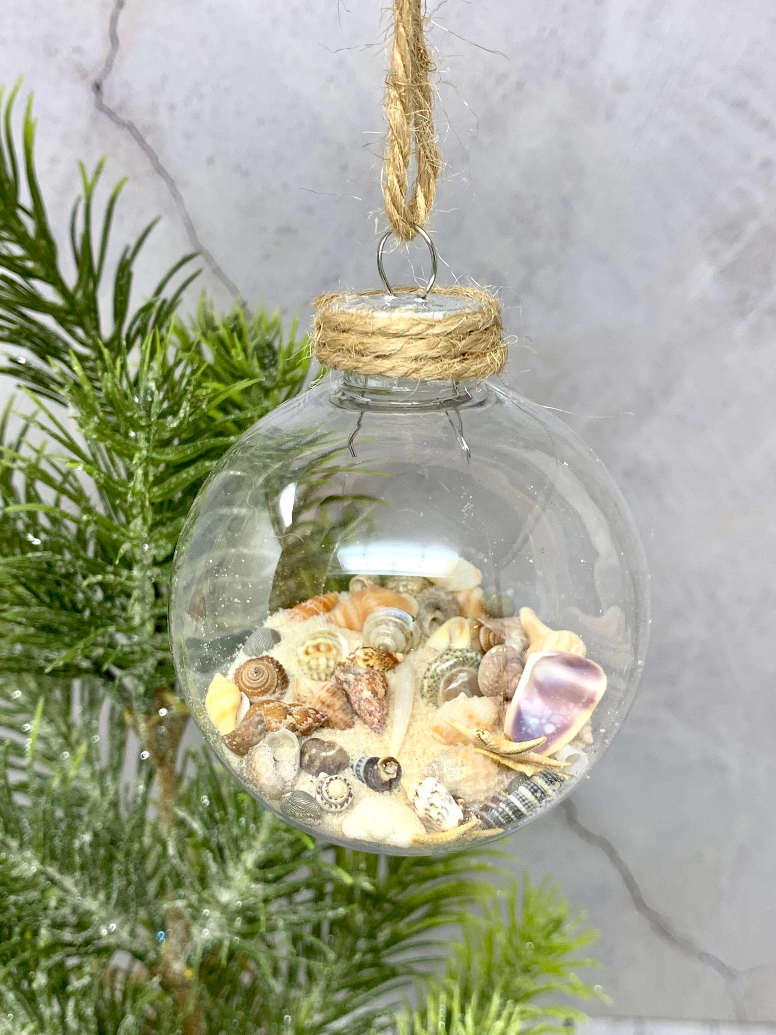 Set of 3 Beach Ornaments Shell Ornaments Ocean Ornaments Etsy