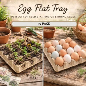 Used Pulp Fiber Egg Cartons (30-Egg 10-Pack) - Farm Storage & Gardening