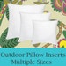 see more listings in the PILLOW INSERTS section