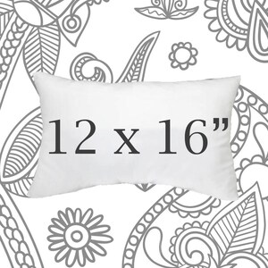 16 inch pillow forms