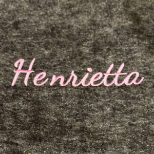 Henrietta Script Embroidery Font - DIGITAL Machine Embroidery Design - a cute BX script font