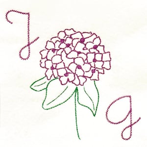 Hydrangea Sketch Embroidery Design - DIGITAL Machine Embroidery Design - a pretty and versatile flower design