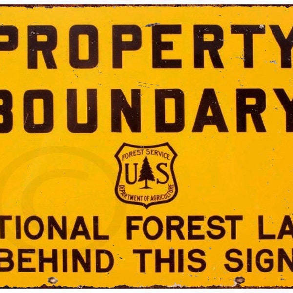 Metal National Forest Sign Etsy
