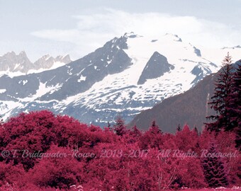 Alaska Photography, Alaskan, Art on Canvas, Pink Decor, Grey Decor, Nature Wall Art, Nature Decor, Nature Photography, Pink and Gray Decor