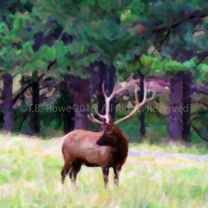 Deer Antlers, Deer Art, Deer Art Print, Wildlife Art, Nature Art, Deer Artwork, Deer Print, Deer Decor, Deer Wall Art, Art on Canvas, Canvas