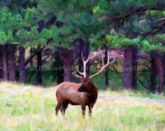 Deer Antlers, Deer Art, Deer Art Print, Wildlife Art, Nature Art, Deer Artwork, Deer Print, Deer Decor, Deer Wall Art, Art on Canvas, Canvas