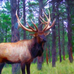 Elk, Elk Antlers, Elk Art, Elk Painting, Wildlife Painting, Elk Wall Art, Office Art, Men&#39;s Art, Elk Print, Man Cave Wall Art, Elk Decor