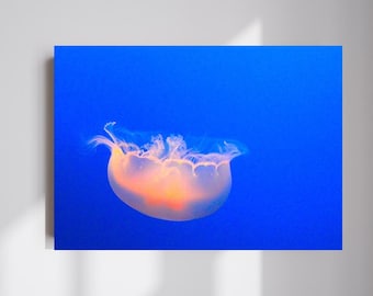 Qualle Kunst, Qualle Druck, Qualle Dekor, Ozean Druck, Kunst auf Leinwand, Leinwand Kunst, Strand Dekor, Rosa Wandkunst, Strand Druck, Blaues Dekor