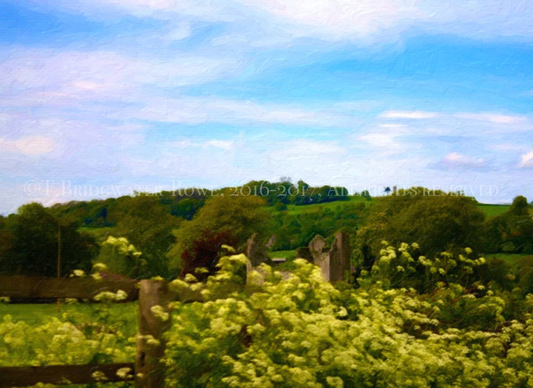 Landscape Art, English Countryside, Art on Canvas, Yellow Flowers