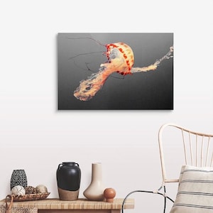 Jellyfish, Jellyfish Canvas, Jellyfish Decor, Jellyfish Art, Art on Canvas, Ocean Art, Ocean Print, Jellyfish Print, Ocean Canvas, Beach Art