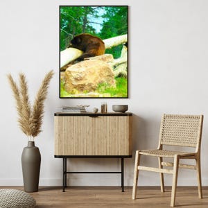 Bear Print, Bear Art, Bear Art Decor, Bear Wall Art, Bear Decor, Bear Wall Decor, Bear Painting, Nature Art, Wildlife Art, Wildlife Decor