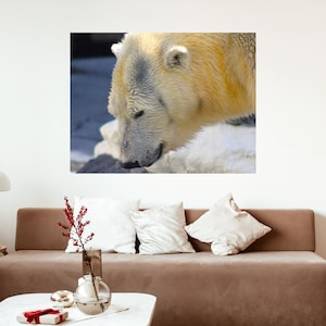 Polar Bear Art, Polar Bear Photography, Polar Bear Wall Art, Polar Bear Decor, Kids Room Decor, Polar Art Canvas, Polar Bears, Bear Art
