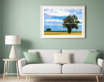 Eiche Landschaft Fotografie Druck, Kalifornien Landschaft Natur Kunst