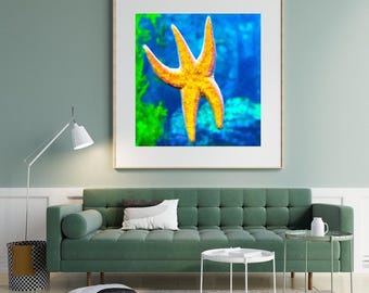 Seestern Druck, Tierfotografie, Deko, Meer, Deko, Seestern, Meer Kunstdruck, Seestern Bild, Seestern Bild, Meer Bild