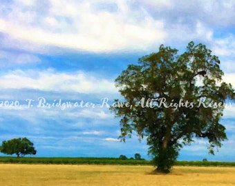 Eiche Landschaft, Fotografie, rustikale gelbe Leinwand, Naturdruck