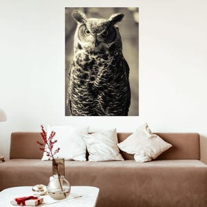 Owl Gift, Owl Decor, Owl Print, Owl Art, Art on Canvas, Canvas Art, Owl Art on Canvas, Animal Art, Wildlife Art, Owl Photography, Animal Art