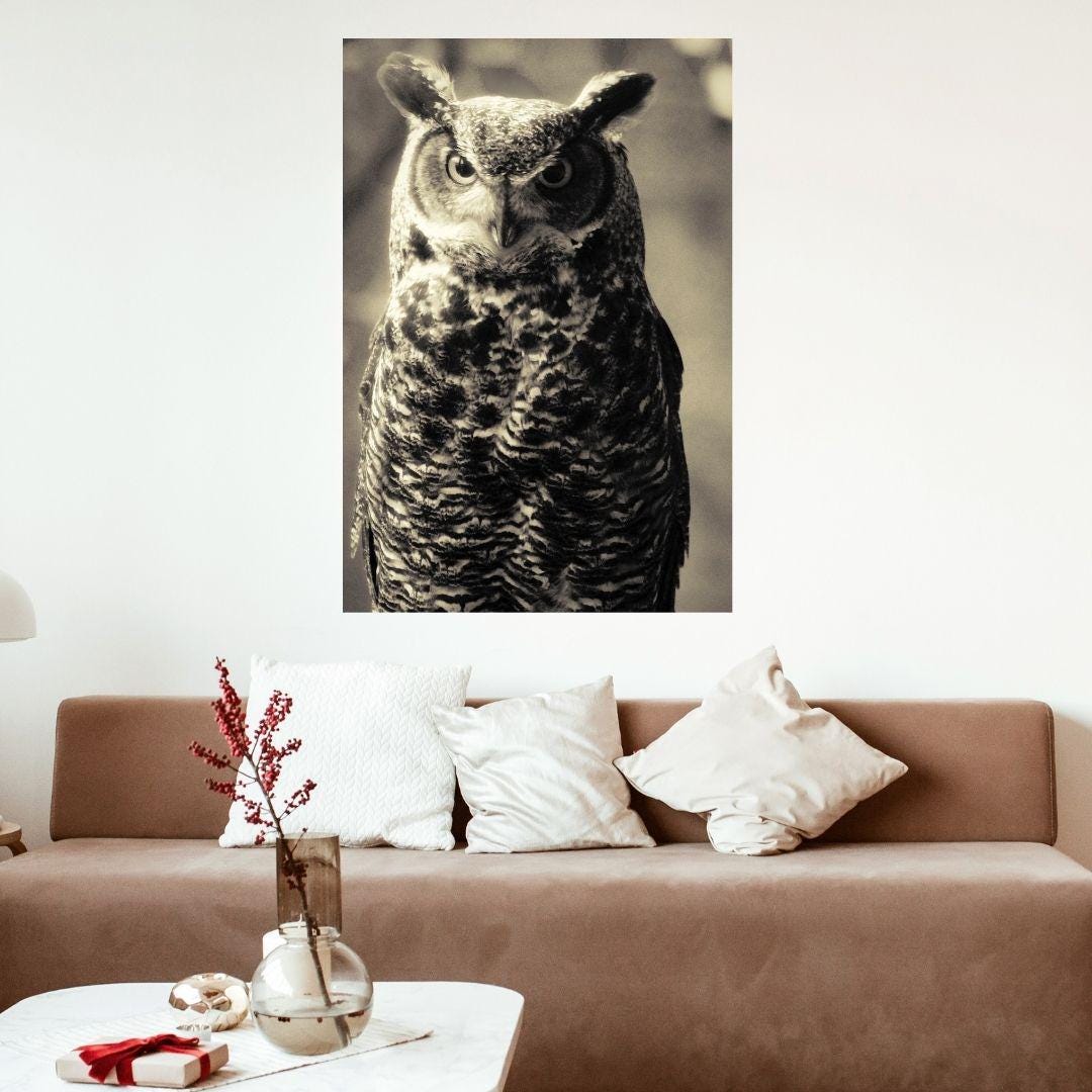 Owl Gift, Owl Decor, Owl Print, Owl Art, Art on Canvas, Canvas Art, Owl Art on Canvas, Animal Art, W