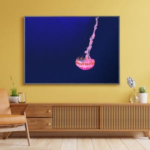 Jellyfish, Jellyfish Print, Jellyfish Decor, Jellyfish Art, Ocean Art, Ocean Decor, Ocean Wall Art, Pink Jellyfish Art, Jellyfish Wall Decor