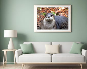 Seeotter, Otter Druck, Seeotter-Kunst, Seeotter-Fotografie, Wildtiere, Wildtierkunst, Naturfotografie, Seeotter-Wanddekor, Ozean-Kunst
