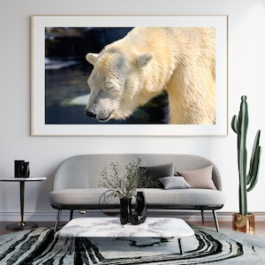 Bear Art, Bear Print, Bear Decor, Polar Bear, Wall Art Print, Color Photo, Polar Bear Print, Wildlife Print, Nature Photograph, Wildlife Art