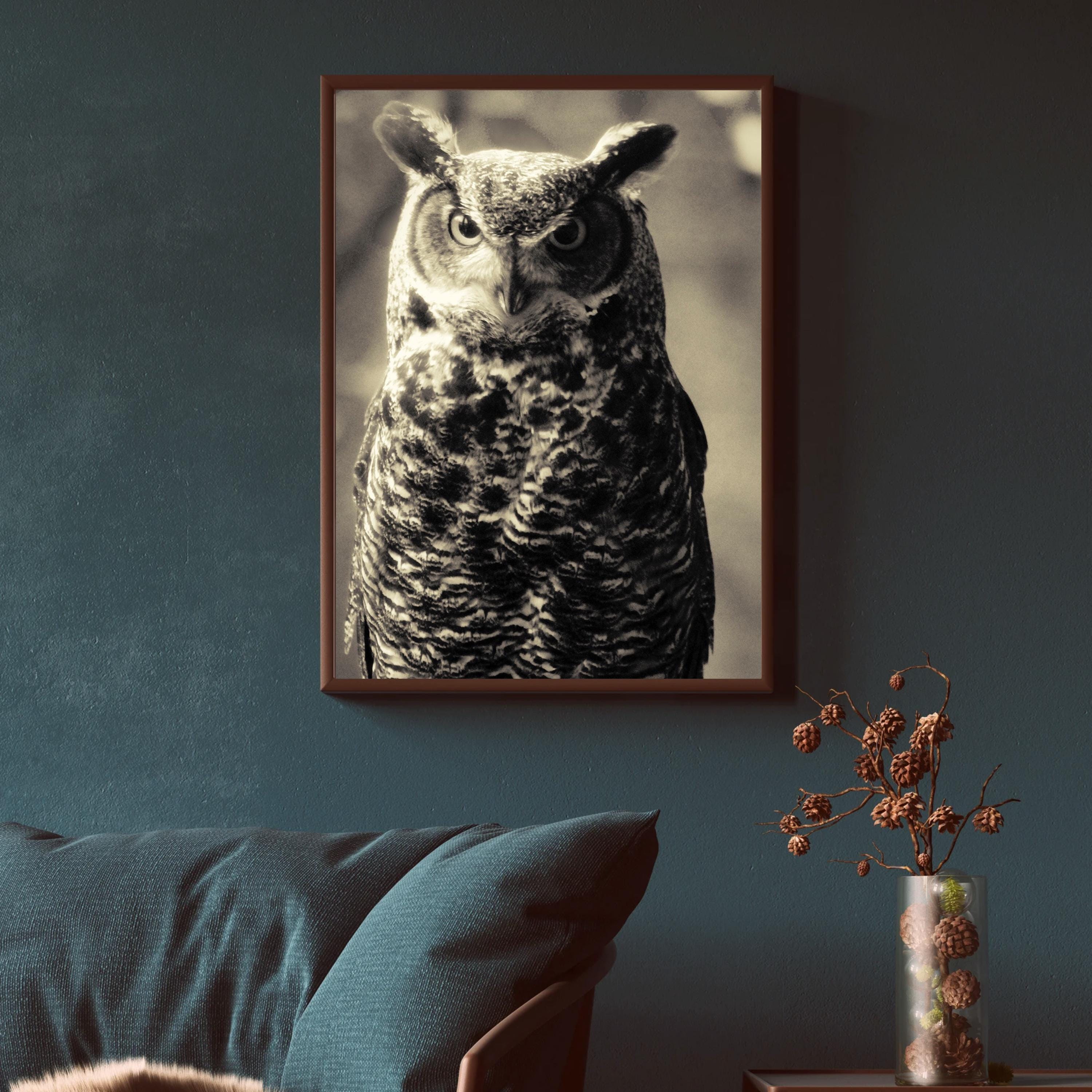 Owl Decor, Owl Art, Owl Print, Owl Gifts, Animal Decor,  Owl Wall Art, Owl Wall Decor, Nature Photog