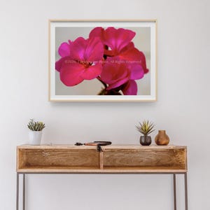 Pink Flowers, Pink Floral Decor, Floral Art, Flower Artwork, Flower Wall, Floral Wall Art, Pink Flower Wall Art, Flower Wall Decor