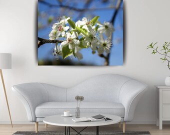 Flowers, Flower Photography, Nature Photography, White Flower, White Home Decor, Floral Prints, Canvas on Art, Photo on Canvas, Flower Print