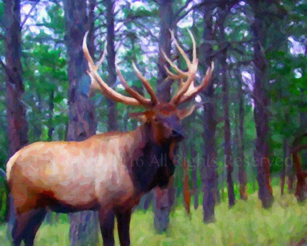 Elk, Elk Antlers, Elk Art, Elk Painting, Wildlife Painting, Elk Wall
