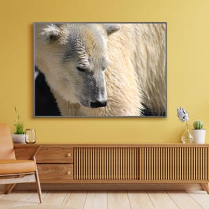 Polar Bear Poster, Polar Bear Wall Art, Polar Bear Photography, Wildlife Photography, Nature Photography, Wildlife Art Print, Kid Room Decor
