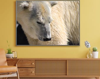 Polar Bear Poster, Polar Bear Wall Art, Polar Bear Photography, Wildlife Photography, Nature Photography, Wildlife Art Print, Kid Room Decor