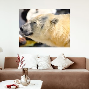 Polar Bear, Nature Photography, Art on Canvas, Photography on Canvas, Canvas Art Print, Bear Art, White Bear, Nature Print, Print on Canvas
