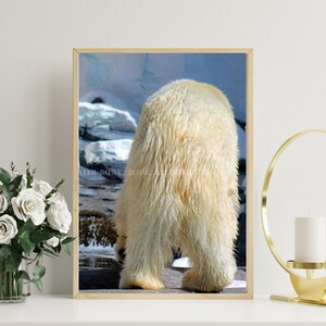 Bear Art, Bear Print, Bear Decor, Polar Bear, Wall Art Print, Color Photo, Polar Bear Print, Wildlife Print, Nature Photograph, Wildlife Art