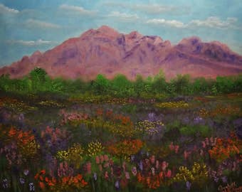 Wildflowers of Anza-Borrego Desert State Park an Original Oil in full color on  24x18x1 canvas