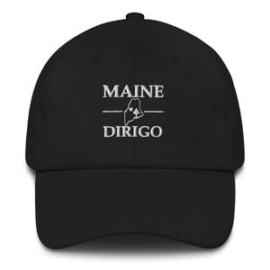Original Maine State Flagge Geschenk Nördliche New England Dirigo ich führe Sommer Küstenlinie Urlaub Souvenir bestickte Baseball Dad Hut