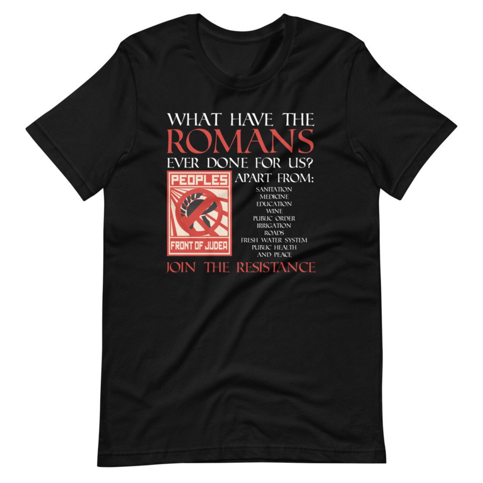 Monty Python and the Life of Brian What Have the Romans Done | Etsy