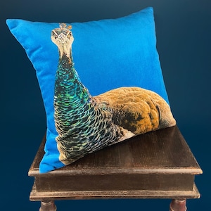 Velvet Pillow With Peacock Print. Realistic Image of Peacock on Square Pillow. Jewel Tone Colors. Bohemian Living Room Bedroom Dorm Decor. Etsy Canada