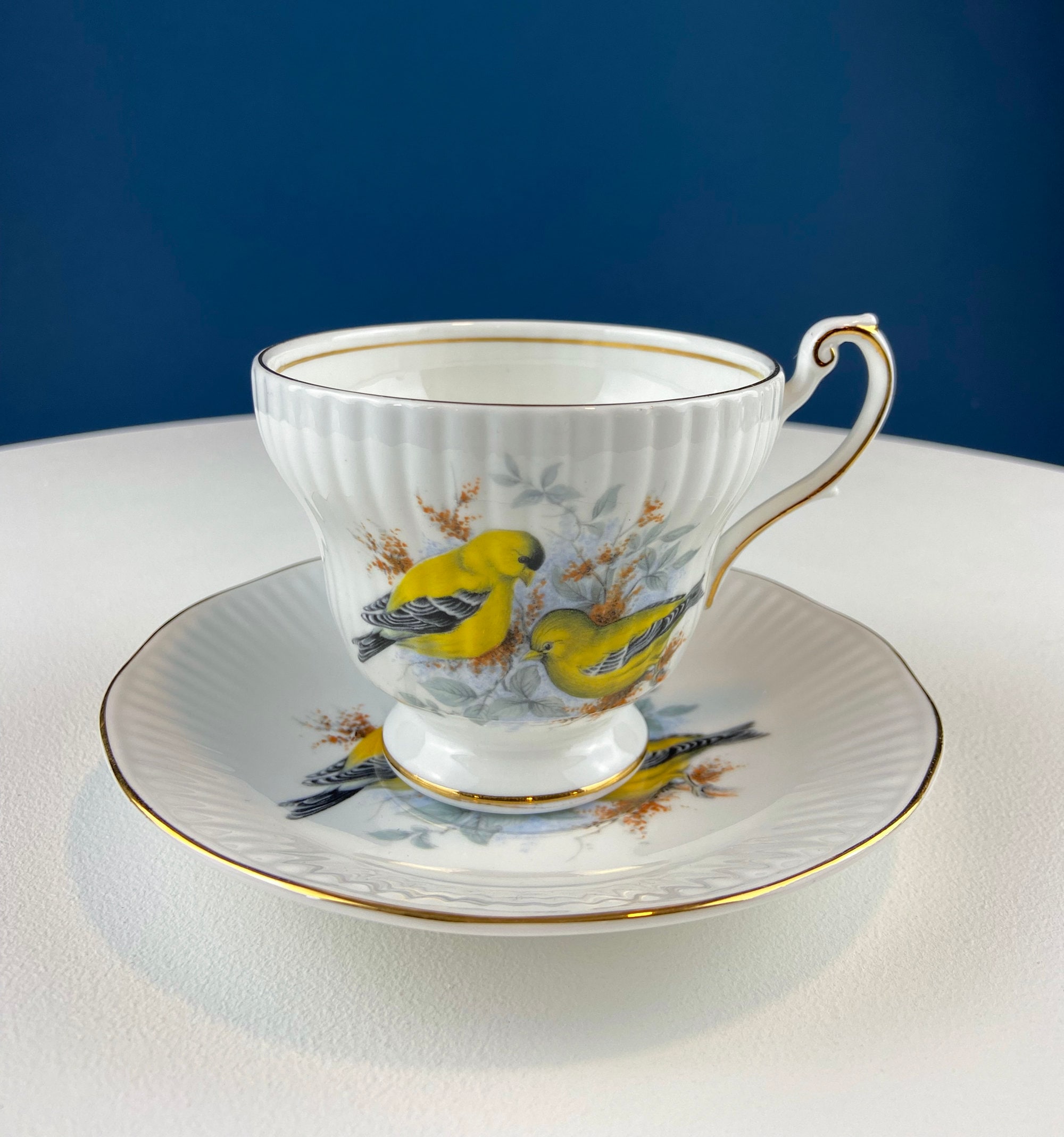 Vintage Cup and Saucer With Yellow Birds. Queens's Fine Bone China. Birds  of America. Pair of Finches. Gift of Love. Modern Farmhouse. - Etsy, image size:2000x2136