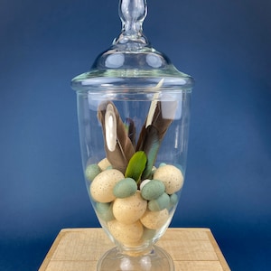 Large Lidded Apothecary Jar with Eggs and Feathers. Home, Retail, Cafe Decor.  Footed, Glass Storage Jar Terrarium. Table Centerpiece.