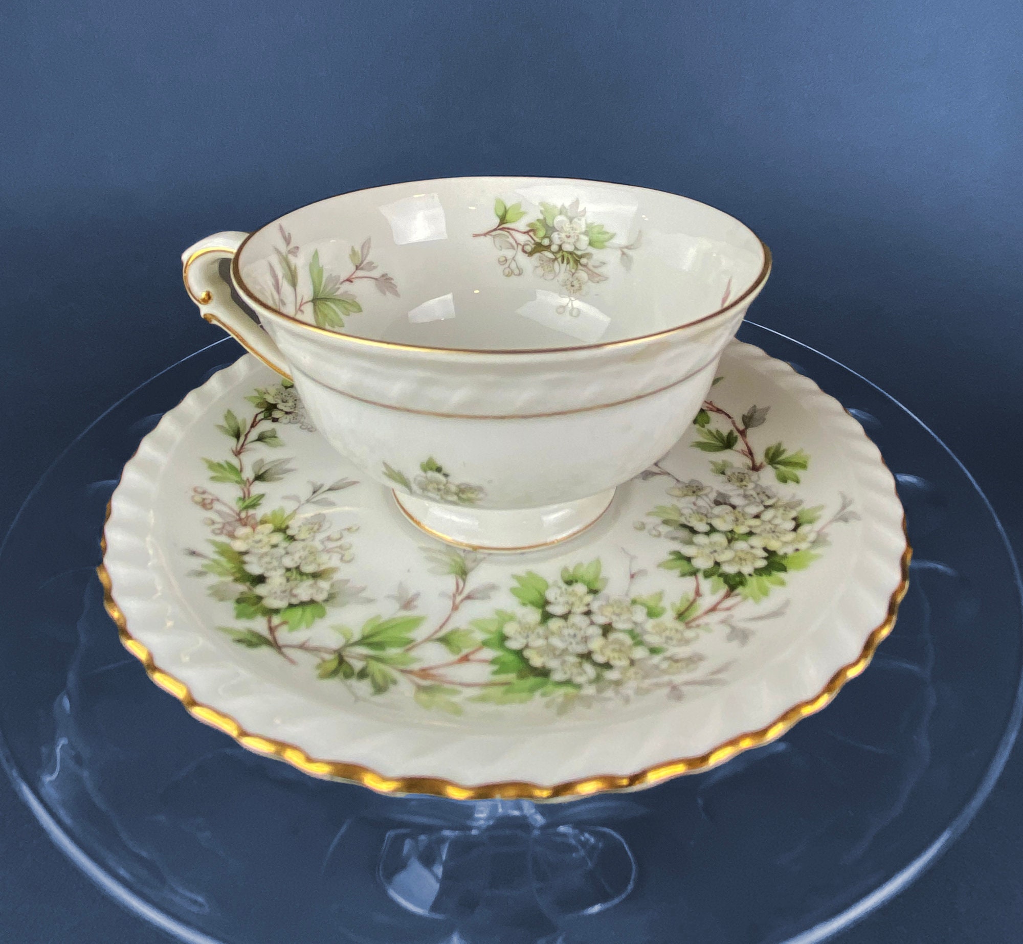 Franconia Teacup With Saucer. X&A Krautheim Selb Bavaria. Hawthorn