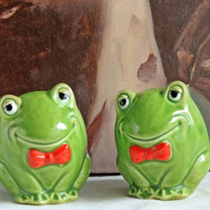 Salt and Pepper Frog Shakers.  Funky Shakers.