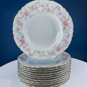 Platos hondos antiguos de porcelana Hutschenreuther. Juego de 12, con motivo de guirnaldas de rosas Richelieu. Ideal para regalar en bodas. Alta cocina. Estilo rústico moderno.