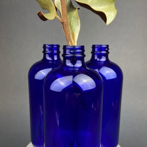 Puede incluir: Tres botellas de vidrio azul cobalto con una sola rama de hoja de magnolia seca en la botella del centro.